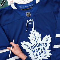 Toronto Maple Leafs Hockey Jersey, Blue Sportswear Jersey Shirt, Long Sleeve Hockey Sweater Jersey, Casual Gift for Men, Style 202056762