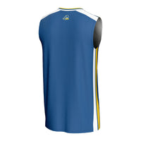 Delaware Fightin' Blue Hens Basketball Jersey, Royal Sportswear Jersey Shirt, Sleeveless Athletic Tank Jersey, Casual Gift for Men