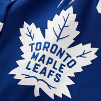 Toronto Maple Leafs Hockey Jersey, Blue Premium Sportswear Jersey Shirt, Long Sleeve Hockey Sweater Jersey, Casual Gift for Men, Style 202055758