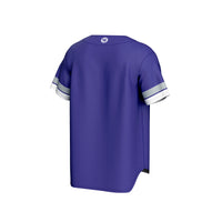 High Point Panthers Baseball Jersey, Purple Sportswear Jersey Shirt, Lightweight Breathable Athletic Jersey, Casual Gift for Men