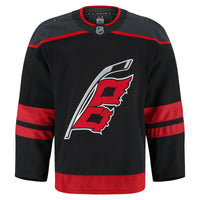 Carolina Hurricanes Hockey Jersey, Black Sportswear Jersey Shirt, Long Sleeve Hockey Sweater Jersey, Casual Gift for Men, Style 201897995