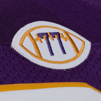 Cris Carter Minnesota Vikings Football Jersey, Purple Sportswear Jersey Shirt, Lightweight Breathable Athletic Jersey, Casual Gift for Men