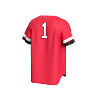 Ball State Cardinals Baseball Jersey, Sportswear Jersey Shirt, Lightweight Breathable Athletic Jersey, Casual Gift for Men, Style 202497520