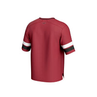 Arkansas Razorbacks Spirit Football Jersey, Cardinal Sportswear Jersey Shirt, Lightweight Breathable Athletic Jersey, Casual Gift for Men