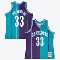 Charlotte Hornets Basketball Jersey, Swingman Sportswear Jersey Shirt, Sleeveless Athletic Tank Jersey, Casual Gift for Men, Style 204329808