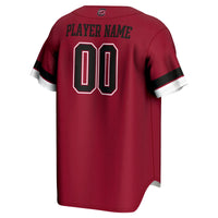 South Carolina Gamecocks Baseball Jersey, Sportswear Jersey Shirt, Lightweight Breathable Athletic Jersey, Casual Gift for Men, Style 202883954