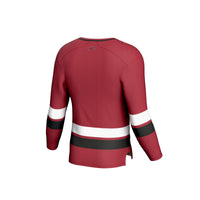 Arkansas Razorbacks Hockey Jersey, Cardinal Sportswear Jersey Shirt, Long Sleeve Hockey Sweater Jersey, Casual Gift for Men
