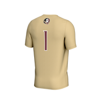 Florida State Seminoles Soccer Jersey, Sportswear Jersey Shirt, Lightweight Breathable Athletic Jersey, Casual Gift for Men, Style 202424143