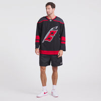 Carolina Hurricanes Hockey Jersey, Black Sportswear Jersey Shirt, Long Sleeve Hockey Sweater Jersey, Casual Gift for Men, Style 202015704