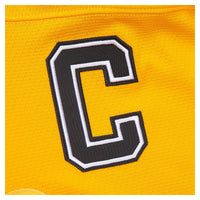 Ray Bourque Boston Bruins Hockey Jersey, Gold Sportswear Jersey Shirt, Long Sleeve Hockey Sweater Jersey, Casual Gift for Men