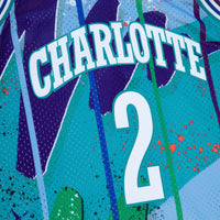 Charlotte Hornets Basketball Jersey, Blue Swingman Sportswear Jersey Shirt, Sleeveless Athletic Tank Jersey, Casual Gift for Men