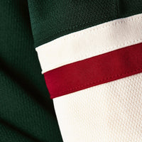 Minnesota Wild Hockey Jersey, Green Authentic Sportswear Jersey Shirt, Long Sleeve Hockey Sweater Jersey, Casual Gift for Men, Style 201897972