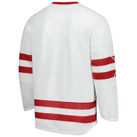 Wisconsin Badgers Hockey Jersey, White Replica Sportswear Jersey Shirt, Long Sleeve Hockey Sweater Jersey, Casual Gift for Men, Style 201831521