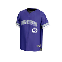 High Point Panthers Baseball Jersey, Purple Sportswear Jersey Shirt, Lightweight Breathable Athletic Jersey, Casual Gift for Men