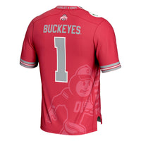 Ohio State Buckeyes Icon Football Jersey, Scarlet Fashion Sportswear Jersey Shirt, Lightweight Breathable Athletic Jersey, Casual Gift for Men