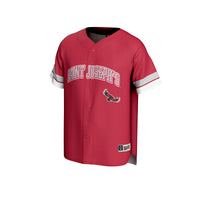 Saint Joseph's Hawks Baseball Jersey, Crimson Sportswear Jersey Shirt, Lightweight Breathable Athletic Jersey, Casual Gift for Men