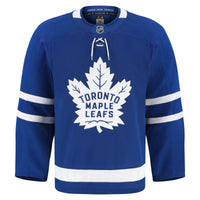 Toronto Maple Leafs Hockey Jersey, Blue Sportswear Jersey Shirt, Long Sleeve Hockey Sweater Jersey, Casual Gift for Men, Style 201897986
