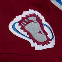Patrick Roy Colorado Avalanche Hockey Jersey, Sportswear Jersey Shirt, Long Sleeve Hockey Sweater Jersey, Casual Gift for Men, Style 203455845