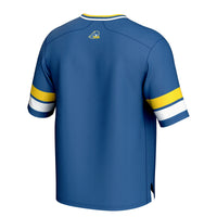 Delaware Fightin' Blue Hens Football Jersey, Sportswear Jersey Shirt, Lightweight Athletic Jersey, Casual Gift for Men, Style 202016067