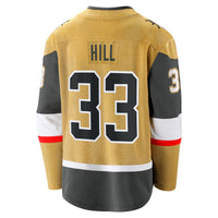 Adin Hill Vegas Golden Knights Hockey Jersey, Gold Breakaway Sportswear Jersey Shirt, Long Sleeve Hockey Sweater Jersey, Casual Gift for Men