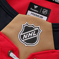 Florida Panthers Hockey Jersey, Red Premium Sportswear Jersey Shirt, Long Sleeve Hockey Sweater Jersey, Casual Gift for Men, Style 202055701