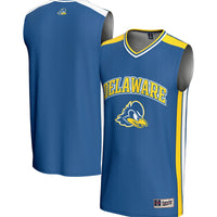Delaware Fightin' Blue Hens Basketball Jersey, Royal Sportswear Jersey Shirt, Sleeveless Athletic Tank Jersey, Casual Gift for Men