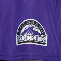 Colorado Rockies Baseball Jersey, Purple Sportswear Jersey Shirt, Lightweight Breathable Athletic Jersey, Casual Gift for Men, Style 201869283