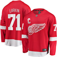 Dylan Larkin Detroit Red Wings Hockey Jersey, Breakaway Sportswear Jersey Shirt, Long Sleeve Hockey Sweater Jersey, Casual Gift for Men
