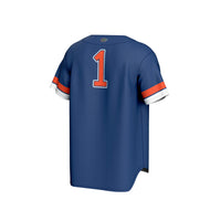 Florida Gators Baseball Jersey, Royal Fashion Lightweight Sportswear Jersey Shirt, Lightweight Breathable Athletic Jersey, Casual Gift for Men