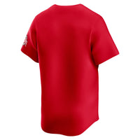 Ohio State Buckeyes Baseball Jersey, Scarlet Limited Sportswear Jersey Shirt, Lightweight Breathable Athletic Jersey, Casual Gift for Men
