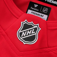 Dylan Larkin Detroit Red Wings Hockey Jersey, Premium Home Sportswear Jersey Shirt, Long Sleeve Hockey Sweater Jersey, Casual Gift for Men