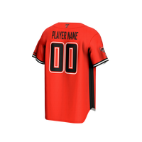 Texas Tech Red Raiders Baseball Jersey, Sportswear Jersey Shirt, Lightweight Breathable Athletic Jersey, Casual Gift for Men, Style 202915978