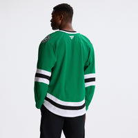 Dallas Stars Hockey Jersey, Kelly Green Sportswear Jersey Shirt, Long Sleeve Hockey Sweater Jersey, Casual Gift for Men, Style 201898001