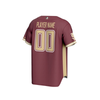 Florida State Seminoles Baseball Jersey, Sportswear Jersey Shirt, Lightweight Breathable Athletic Jersey, Casual Gift for Men, Style 201141625