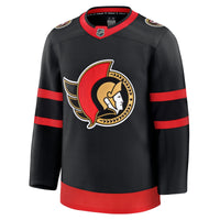 Ottawa Senators Hockey Jersey, Black Premium Sportswear Jersey Shirt, Long Sleeve Hockey Sweater Jersey, Casual Gift for Men, Style 202015750