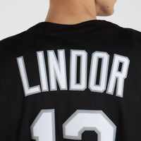 Francisco Lindor New York Mets Baseball Jersey, Sportswear Jersey Shirt, Lightweight Athletic Jersey, Casual Gift for Men, Style 200323794