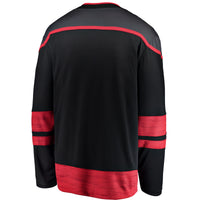 Carolina Hurricanes Hockey Jersey, Black Sportswear Jersey Shirt, Long Sleeve Hockey Sweater Jersey, Casual Gift for Men, Style 3273306