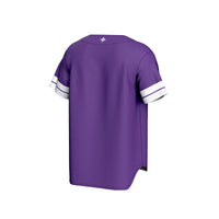 Furman Paladins Baseball Jersey, Purple Sportswear Jersey Shirt, Lightweight Breathable Athletic Jersey, Casual Gift for Men