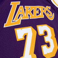 Los Angeles Lakers Basketball Jersey, Purple Sportswear Jersey Shirt, Sleeveless Athletic Tank Jersey, Casual Gift for Men, Style 204329762
