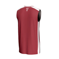 Temple Owls Basketball Jersey, Red Sportswear Jersey Shirt, Sleeveless Athletic Tank Jersey, Casual Gift for Men