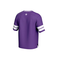 Furman Paladins Football Jersey, Purple Sportswear Jersey Shirt, Lightweight Breathable Athletic Jersey, Casual Gift for Men, Style 202414557