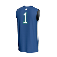Florida Gulf Coast Eagles Basketball Jersey, Blue Sportswear Jersey Shirt, Sleeveless Athletic Tank Jersey, Casual Gift for Men, Style 202462073
