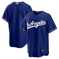 Los Angeles Dodgers Baseball Jersey, Royal Sportswear Jersey Shirt, Lightweight Breathable Athletic Jersey, Casual Gift for Men, Style 203184379