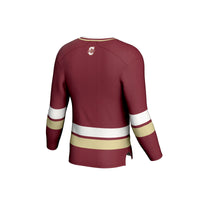 Charleston Cougars Hockey Jersey, Maroon Sportswear Jersey Shirt, Long Sleeve Hockey Sweater Jersey, Casual Gift for Men