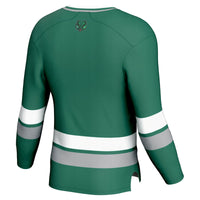 Binghamton Bearcats Spirit Hockey Jersey, Green Sportswear Jersey Shirt, Long Sleeve Hockey Sweater Jersey, Casual Gift for Men