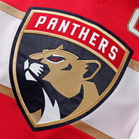 Aleksander Barkov Florida Panthers Hockey Jersey, Sportswear Jersey Shirt, Long Sleeve Hockey Jersey, Casual Gift for Men, Style 200899103