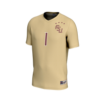 Florida State Seminoles Soccer Jersey, Sportswear Jersey Shirt, Lightweight Breathable Athletic Jersey, Casual Gift for Men, Style 202424143