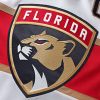 Florida Panthers Hockey Jersey, White Premium Sportswear Jersey Shirt, Long Sleeve Hockey Sweater Jersey, Casual Gift for Men, Style 202015691