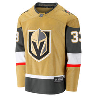 Adin Hill Vegas Golden Knights Hockey Jersey, Gold Breakaway Sportswear Jersey Shirt, Long Sleeve Hockey Sweater Jersey, Casual Gift for Men