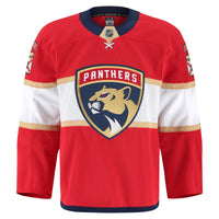 Florida Panthers Hockey Jersey, Red Authentic Sportswear Jersey Shirt, Long Sleeve Hockey Sweater Jersey, Casual Gift for Men, Style 201897996